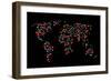 Heart Map-Mark Ashkenazi-Framed Giclee Print