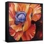 Heart of a Red Poppy-Marcia Baldwin-Framed Stretched Canvas