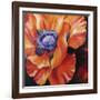 Heart of a Red Poppy-Marcia Baldwin-Framed Giclee Print