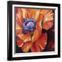 Heart of a Red Poppy-Marcia Baldwin-Framed Giclee Print