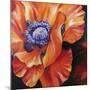 Heart of a Red Poppy-Marcia Baldwin-Mounted Giclee Print