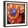 Heart of a Red Poppy-Marcia Baldwin-Framed Giclee Print