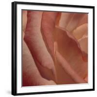 Heart of a Rose III-Rita Crane-Framed Photographic Print