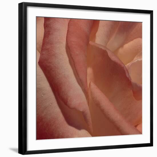 Heart of a Rose III-Rita Crane-Framed Photographic Print