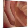 Heart of a Rose III-Rita Crane-Mounted Photographic Print