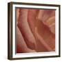 Heart of a Rose III-Rita Crane-Framed Photographic Print