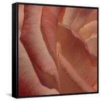 Heart of a Rose III-Rita Crane-Framed Stretched Canvas