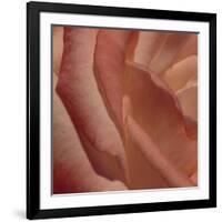 Heart of a Rose III-Rita Crane-Framed Photographic Print