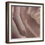 Heart of a Rose VII-Rita Crane-Framed Photographic Print