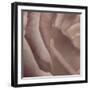 Heart of a Rose VII-Rita Crane-Framed Photographic Print