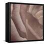 Heart of a Rose VII-Rita Crane-Framed Stretched Canvas