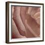 Heart of a Rose XI-Rita Crane-Framed Photographic Print