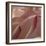 Heart of a Rose XII-Rita Crane-Framed Photographic Print