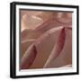 Heart of a Rose XII-Rita Crane-Framed Photographic Print