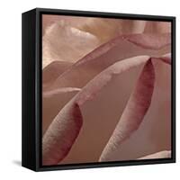 Heart of a Rose XII-Rita Crane-Framed Stretched Canvas