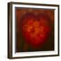 Heart of Gold 2014-Lee Campbell-Framed Giclee Print