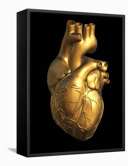 Heart of Gold-Roger Harris-Framed Stretched Canvas