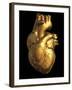 Heart of Gold-Roger Harris-Framed Photographic Print