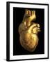 Heart of Gold-Roger Harris-Framed Photographic Print