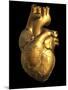 Heart of Gold-Roger Harris-Mounted Photographic Print