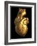Heart of Gold-Roger Harris-Framed Photographic Print