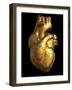 Heart of Gold-Roger Harris-Framed Photographic Print