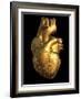 Heart of Gold-Roger Harris-Framed Photographic Print