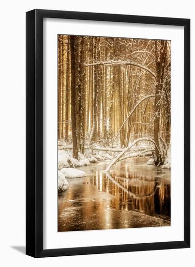 Heart of Gold-Philippe Sainte-Laudy-Framed Photographic Print