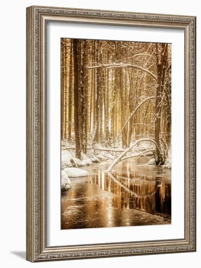 Heart of Gold-Philippe Sainte-Laudy-Framed Photographic Print