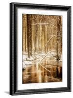 Heart of Gold-Philippe Sainte-Laudy-Framed Photographic Print