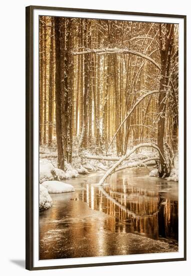 Heart of Gold-Philippe Sainte-Laudy-Framed Premium Photographic Print