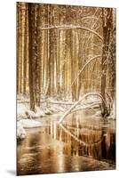 Heart of Gold-Philippe Sainte-Laudy-Mounted Premium Photographic Print