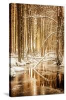 Heart of Gold-Philippe Sainte-Laudy-Stretched Canvas