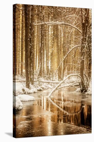 Heart of Gold-Philippe Sainte-Laudy-Stretched Canvas