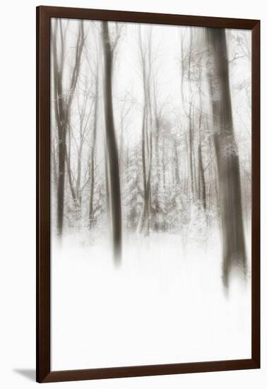 Heart of Ice-Viviane Fedieu Daniel-Framed Premium Photographic Print