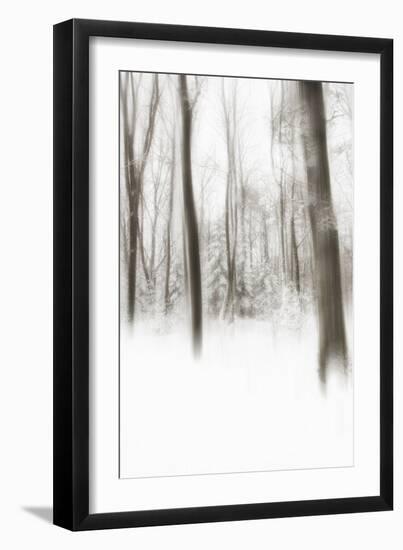 Heart of Ice-Viviane Fedieu Daniel-Framed Photographic Print