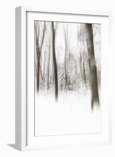 Heart of Ice-Viviane Fedieu Daniel-Framed Photographic Print