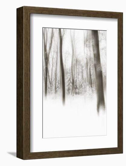 Heart of Ice-Viviane Fedieu Daniel-Framed Photographic Print