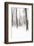 Heart of Ice-Viviane Fedieu Daniel-Framed Photographic Print