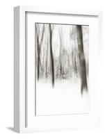 Heart of Ice-Viviane Fedieu Daniel-Framed Photographic Print