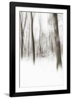 Heart of Ice-Viviane Fedieu Daniel-Framed Photographic Print