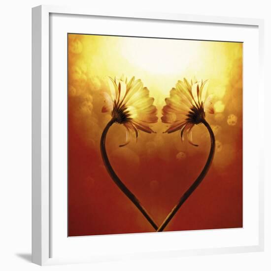 Heart Of Nature-Andreas Stridsberg-Framed Giclee Print