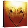 Heart Of Nature-Andreas Stridsberg-Stretched Canvas