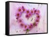 Heart of Pink Asters-Friedrich Strauss-Framed Stretched Canvas