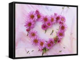 Heart of Pink Asters-Friedrich Strauss-Framed Stretched Canvas