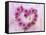 Heart of Pink Asters-Friedrich Strauss-Framed Stretched Canvas