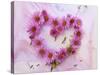 Heart of Pink Asters-Friedrich Strauss-Stretched Canvas