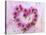 Heart of Pink Asters-Friedrich Strauss-Stretched Canvas