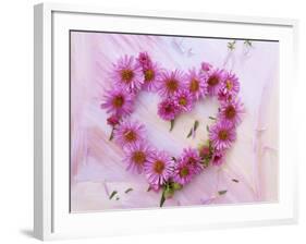 Heart of Pink Asters-Friedrich Strauss-Framed Photographic Print