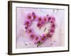 Heart of Pink Asters-Friedrich Strauss-Framed Photographic Print